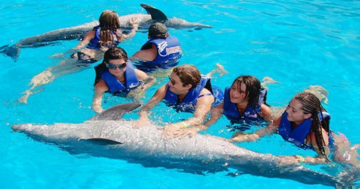 Dolphin Royal Swim Puerto Vallarta